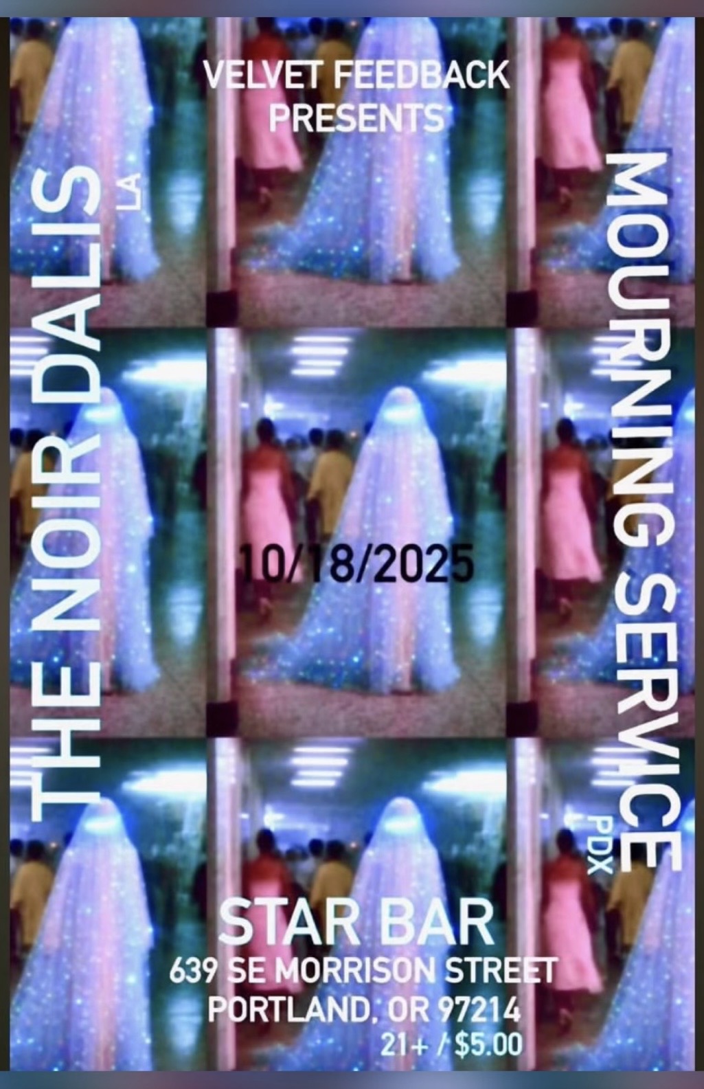 VELVET FEEDBACK PRESENTS: flyer